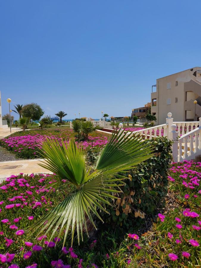 Apartamento Naturista En Primera Linea! Vera Exteriér fotografie